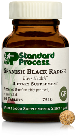 Spanish Black Radish