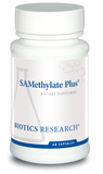 SAMethylate Plus™